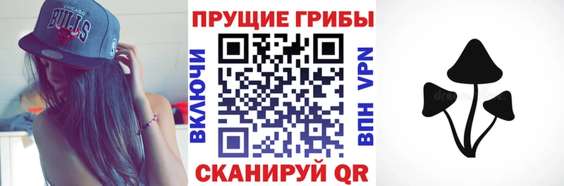 где продают наркотики  Лабытнанги  Псилоцибиновые грибы Psilocybe 